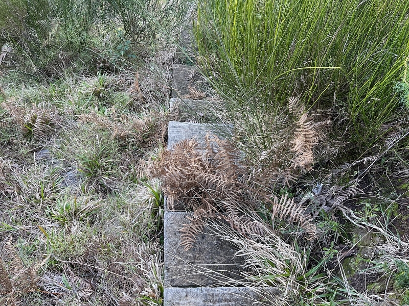 Levada da Negra (e Curral Martinho) — Verrohrter Teil bis zum Verteilerhäuschen — Foto 7