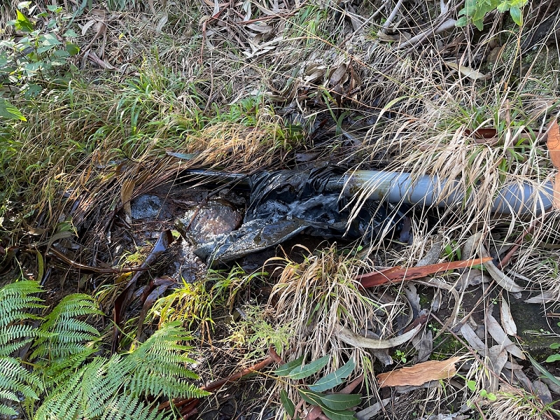 Levada da Negra (e Curral Martinho) — Verrohrter Teil bis zum Verteilerhäuschen — Foto 8