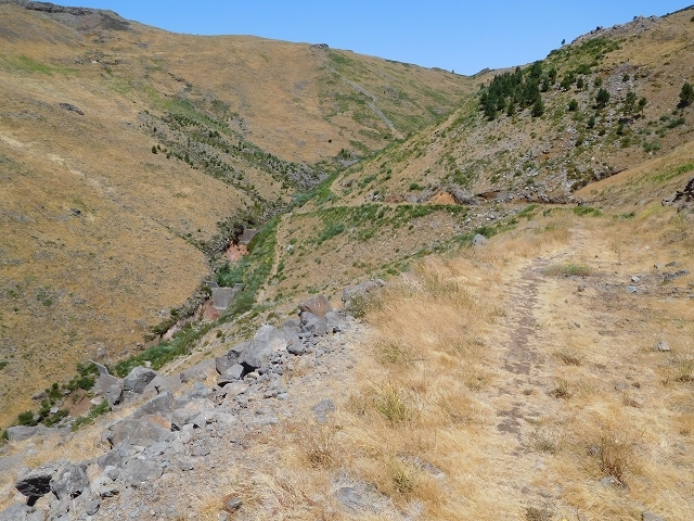 Levada da Negra (e Curral Martinho) — Abschnitt 1: Von der Madre zur Panoramastrasse — Foto 1