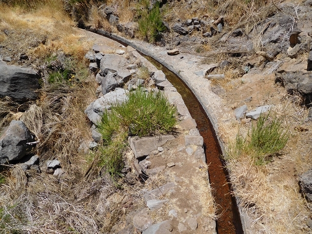 Levada da Negra (e Curral Martinho) — Abschnitt 1: Von der Madre zur Panoramastrasse — Foto 13