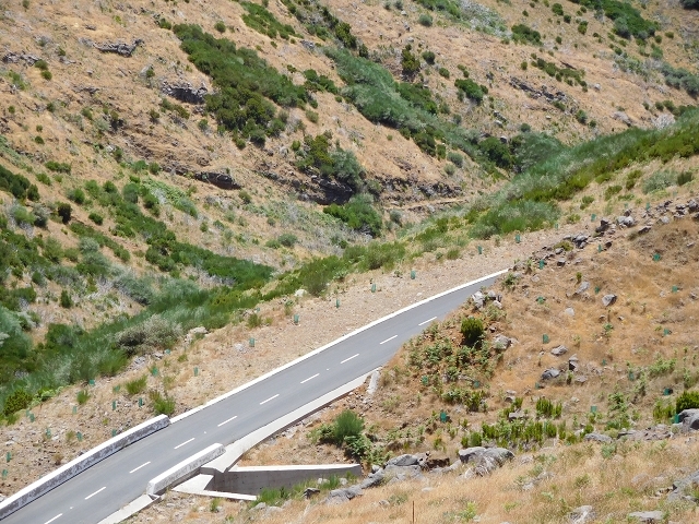 Levada da Negra (e Curral Martinho) — Abschnitt 1: Von der Madre zur Panoramastrasse — Foto 15