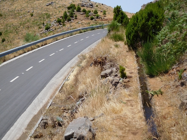 Levada da Negra (e Curral Martinho) — Abschnitt 1: Von der Madre zur Panoramastrasse — Foto 17