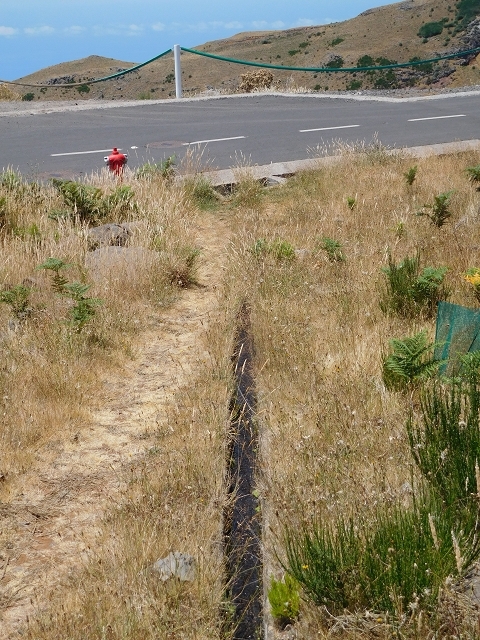 Levada da Negra (e Curral Martinho) — Abschnitt 1: Von der Madre zur Panoramastrasse — Foto 18