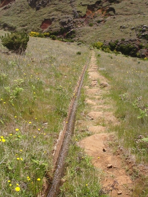 Levada da Negra (e Curral Martinho) — Von der Panoramastrasse zur Ribeira de Santo Antonio — Foto 1