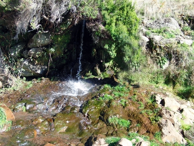 Levada da Negra (e Curral Martinho) — Von der Panoramastrasse zur Ribeira de Santo Antonio — Foto 8