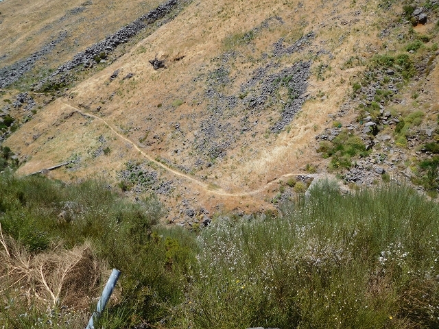 Levada da Negra (e Curral Martinho) — Abschnitt 1: Von der Madre zur Panoramastrasse — Foto 3