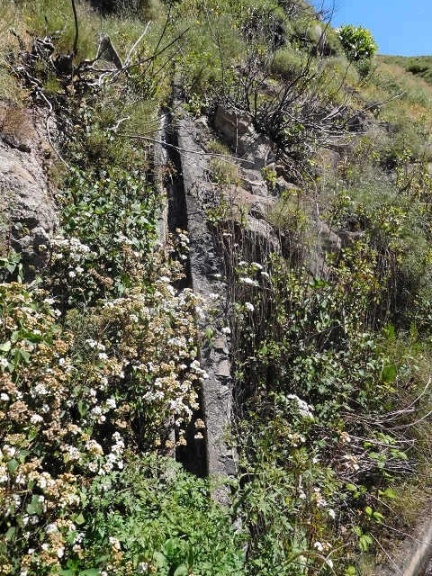 Levada da Negra (e Curral Martinho) — Von der Ribeira de Santo Antonio zum Stichtunnel — Foto 6