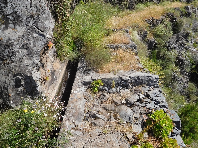 Levada da Negra (e Curral Martinho) — Weiter talwärts zur Panoramastrasse nach Barreira — Foto 5