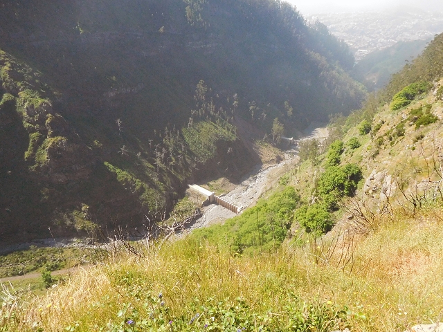 Levada da Negra (e Curral Martinho) — Weiter talwärts zur Panoramastrasse nach Barreira — Foto 7