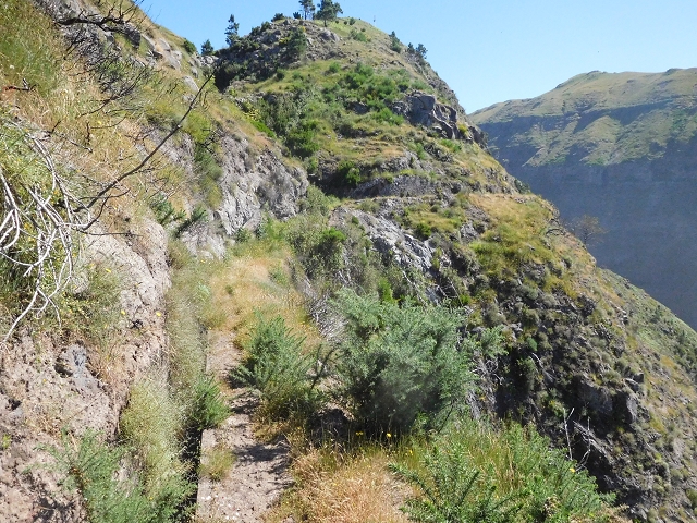 Levada da Negra (e Curral Martinho) — Weiter talwärts zur Panoramastrasse nach Barreira — Foto 8