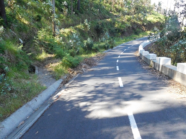 Levada da Negra (e Curral Martinho) — Weiter talwärts zur Panoramastrasse nach Barreira — Foto 13