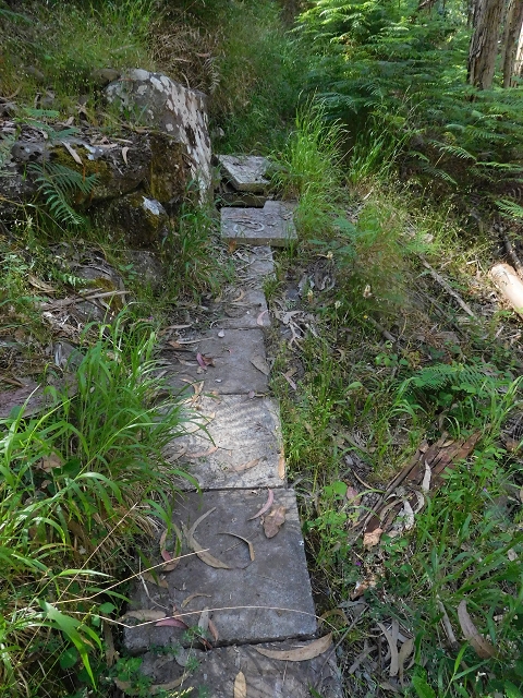 Levada da Negra (e Curral Martinho) — Weiter bis zum Ende — Foto 1