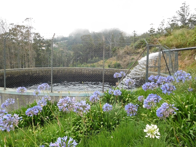 Levada da Negra (e Curral Martinho) — Weiter bis zum Ende — Foto 4