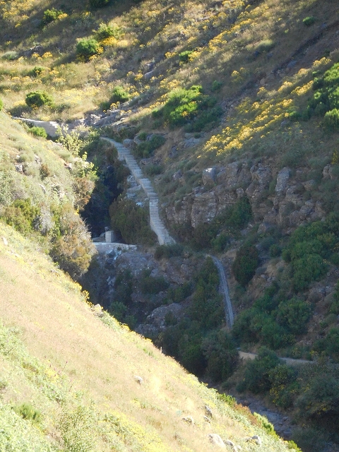 Levada da Negra (e Curral Martinho) — Verlauf im Tal der Levada do Pico do Cardo — Foto 8