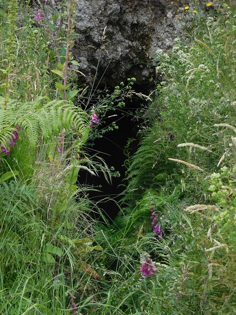 Levada da Negra (e Curral Martinho) — Wassertunnels im Bereich des Pico do Prado — Foto 1