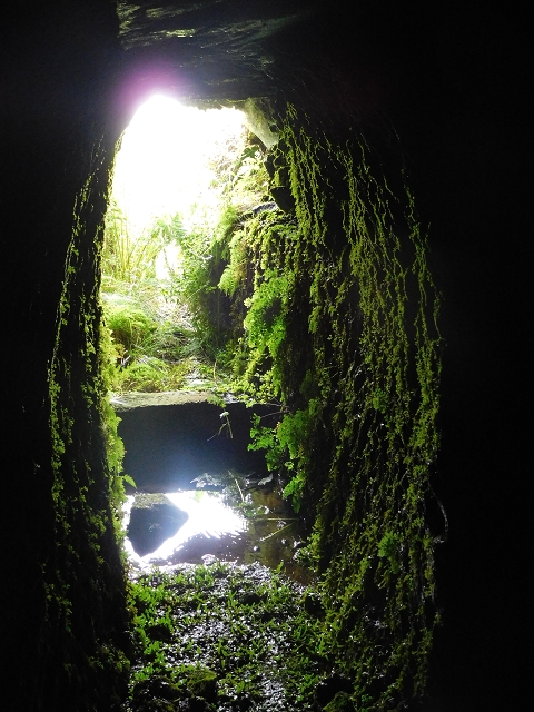 Levada da Negra (e Curral Martinho) — Wassertunnels im Bereich des Pico do Prado — Foto 2
