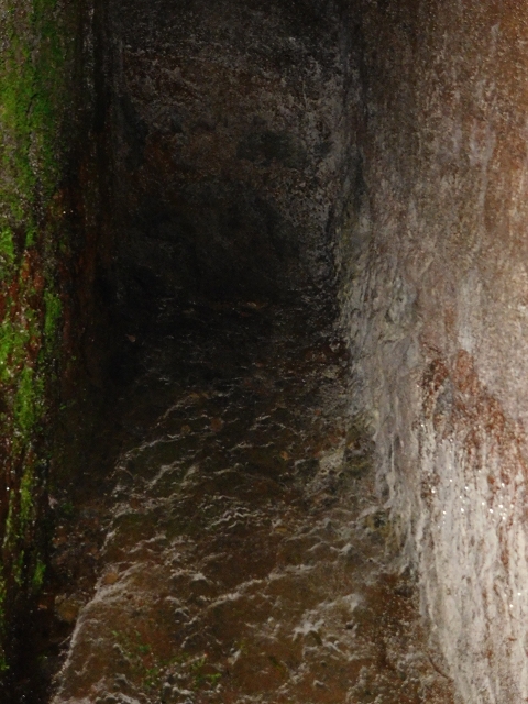 Levada da Negra (e Curral Martinho) — Wassertunnels im Bereich des Pico do Prado — Foto 3