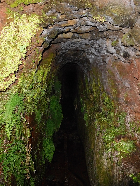 Levada da Negra (e Curral Martinho) — Wassertunnels im Bereich des Pico do Prado — Foto 4