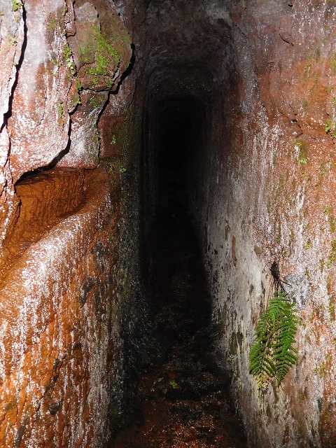Levada da Negra (e Curral Martinho) — Wassertunnels im Bereich des Pico do Prado — Foto 5