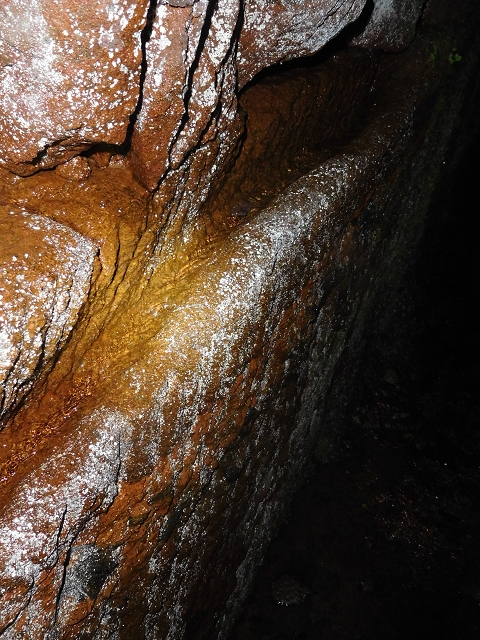 Levada da Negra (e Curral Martinho) — Wassertunnels im Bereich des Pico do Prado — Foto 8