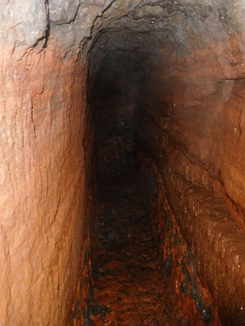 Levada da Negra (e Curral Martinho) — Wassertunnels im Bereich des Pico do Prado — Foto 9