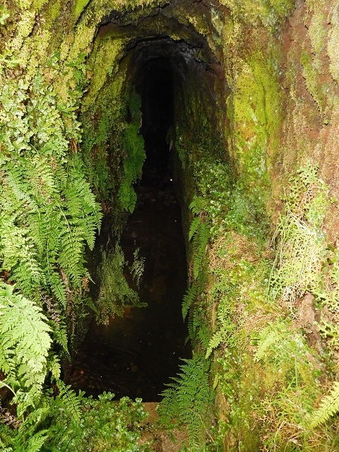Levada da Negra (e Curral Martinho) — Wassertunnels im Bereich des Pico do Prado — Foto 10
