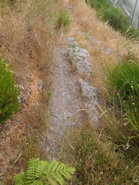 Levada da Negra (e Curral Martinho) — Weiter Richtung Barreira — Foto 1