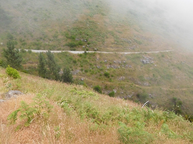 Levada da Negra (e Curral Martinho) — Weiter Richtung Barreira — Foto 3