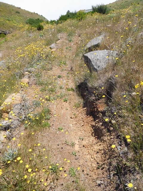 Levada da Negra (e Curral Martinho) — Verfallener erster Teil — Foto 1