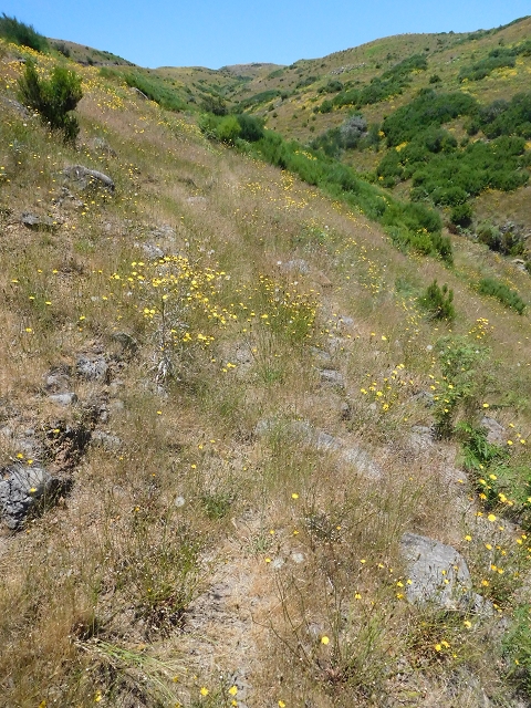 Levada da Negra (e Curral Martinho) — Verfallener erster Teil — Foto 2