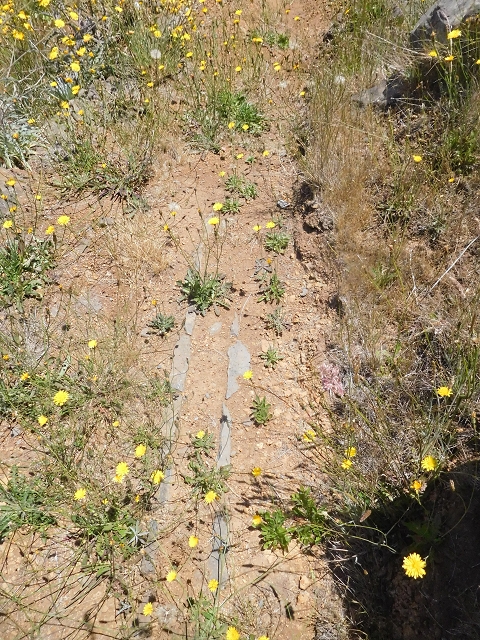 Levada da Negra (e Curral Martinho) — Verfallener erster Teil — Foto 3