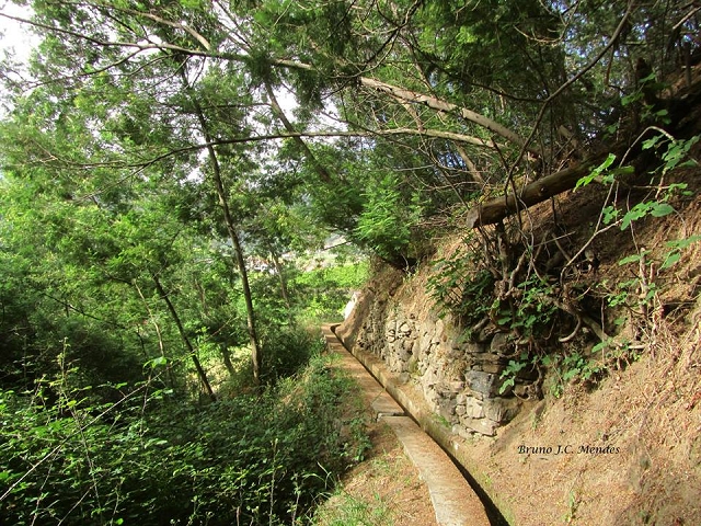 Levada da Penha de Aguia — Levada da Penha de Aguia Ost — Foto 1