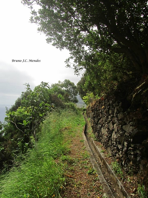 Levada da Penha de Aguia — Levada da Penha de Aguia Ost — Foto 10