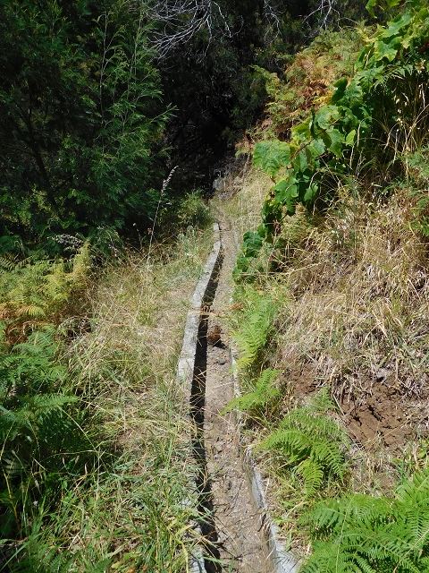 Levada da Penha de Aguia — Levada da Penha de Aguia West — Foto 5
