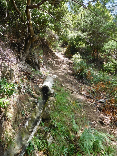 Levada da Penha de Aguia — Levada da Penha de Aguia West — Foto 7