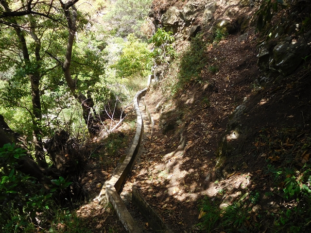 Levada da Penha de Aguia — Levada da Penha de Aguia West — Foto 8