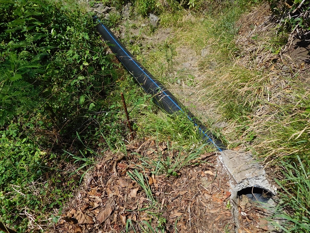 Levada da Penha de Aguia — Levada da Penha de Aguia West — Foto 12