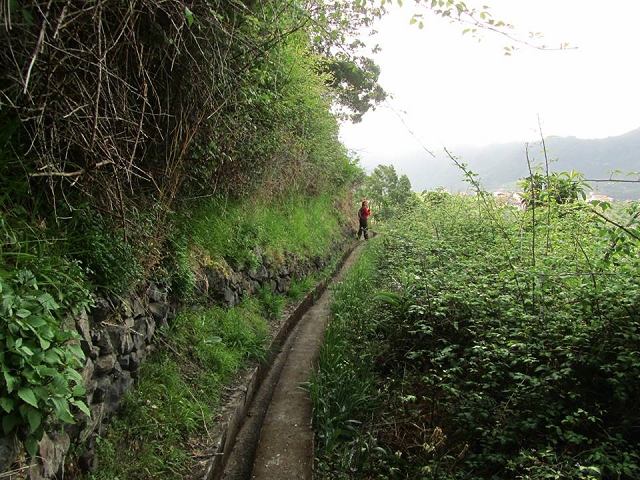 Levada da Penha de Aguia — Levada da Penha de Aguia Ost — Foto 3