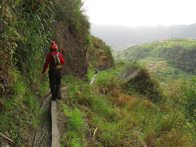 Levada da Penha de Aguia — Levada da Penha de Aguia Ost — Foto 8