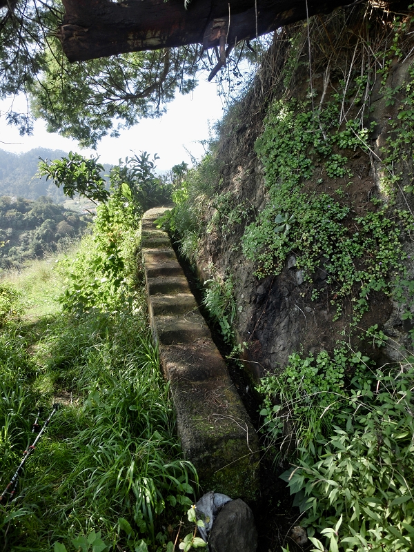 Levada da Penha de Aguia — Levada da Penha de Aguia Ost — Foto 22