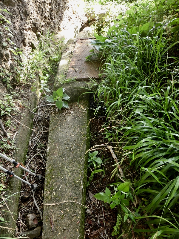 Levada da Penha de Aguia — Levada da Penha de Aguia Ost — Foto 23