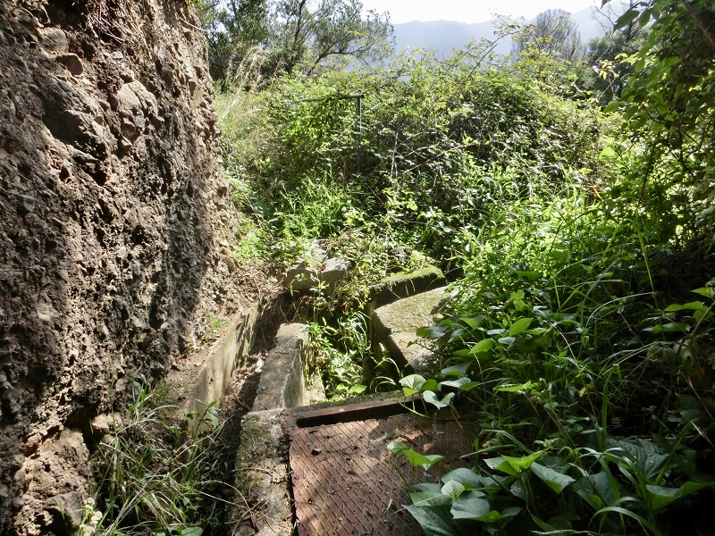 Levada da Penha de Aguia — Levada da Penha de Aguia Ost — Foto 24