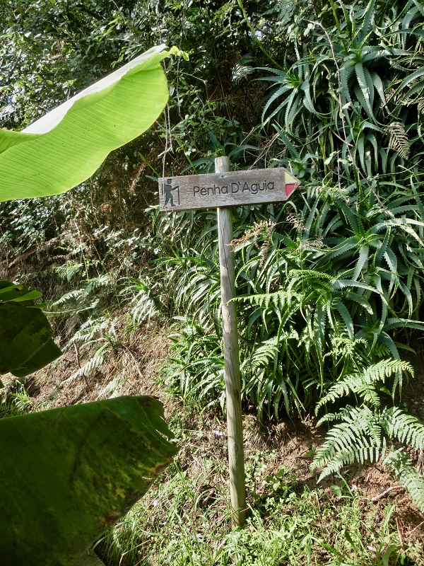 Levada da Penha de Aguia — Levada da Penha de Aguia Ost — Foto 25