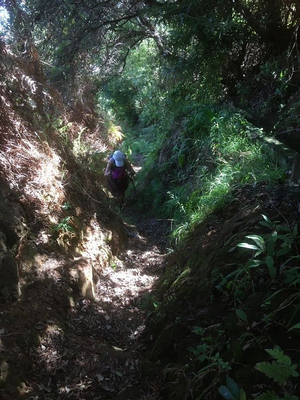 Levada da Penha de Aguia — Levada da Penha de Aguia Ost — Foto 26