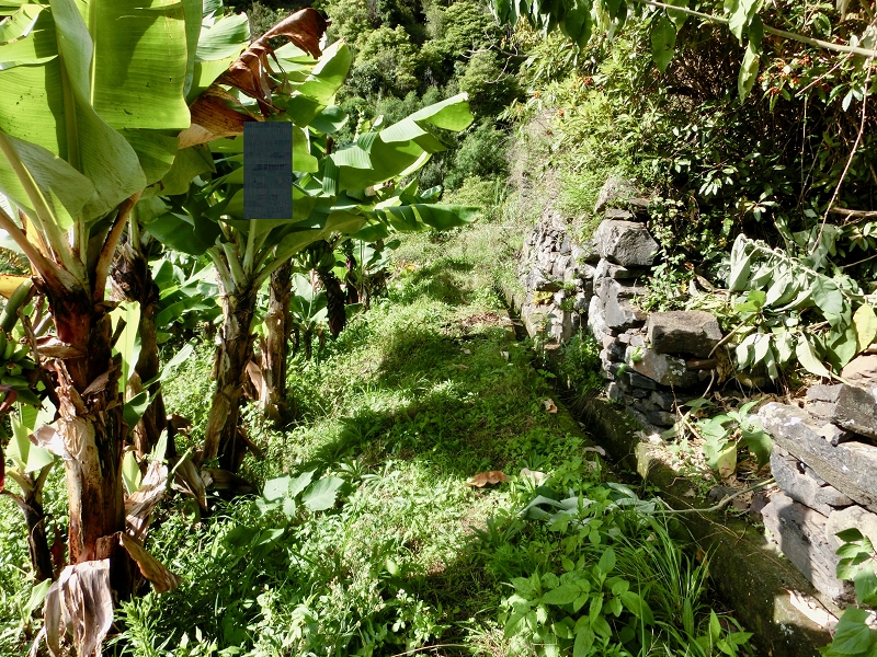 Levada da Penha de Aguia — Levada da Penha de Aguia Ost — Foto 13