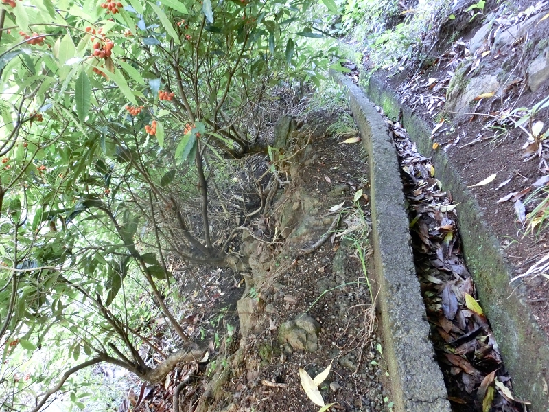 Levada da Penha de Aguia — Levada da Penha de Aguia Ost — Foto 15
