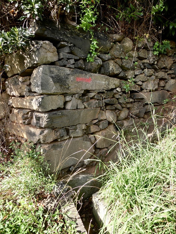 Levada da Penha de Aguia — Levada da Penha de Aguia Ost — Foto 16