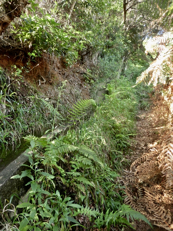 Levada da Penha de Aguia — Levada da Penha de Aguia Ost — Foto 17