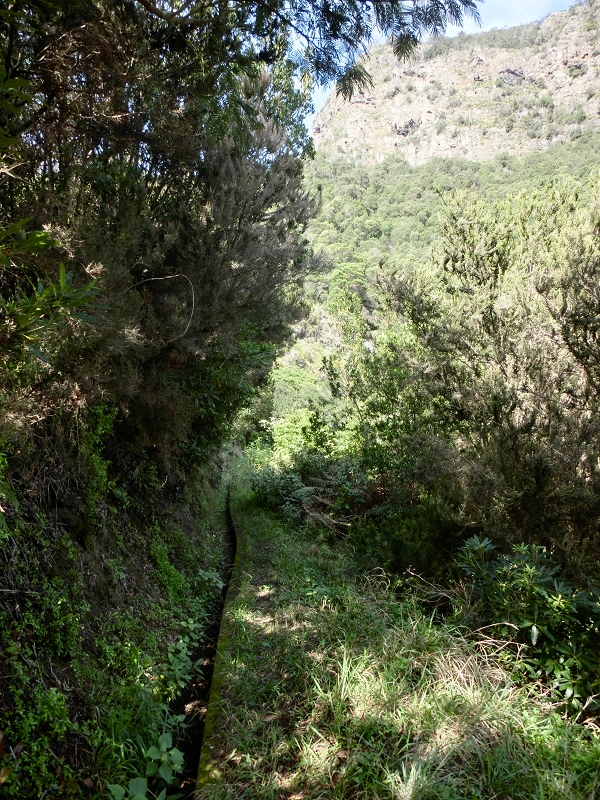 Levada da Penha de Aguia — Levada da Penha de Aguia Ost — Foto 18