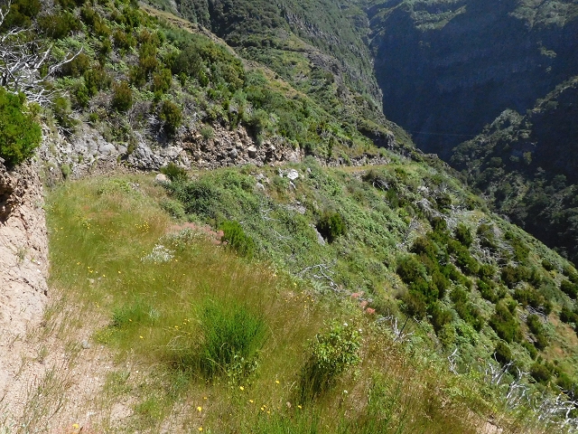 Levada de Marques Teixeira — Da Madre antiga até ao desvio da pista de gravilha para cima — foto 4